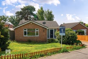 Front- click for photo gallery